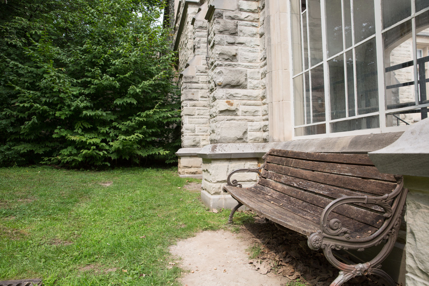 Campus' greenest spots to study (photo 6, bench).jpg